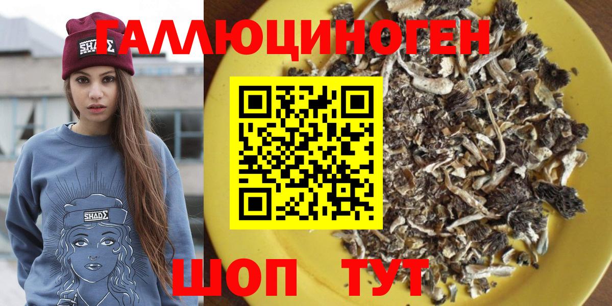 Псилоцибиновые грибы мухоморы Кирово-Чепецк